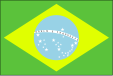 brazil FLAG